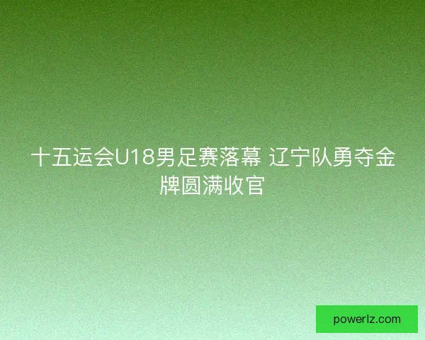 十五运会U18男足赛落幕 辽宁队勇夺金牌圆满收官
